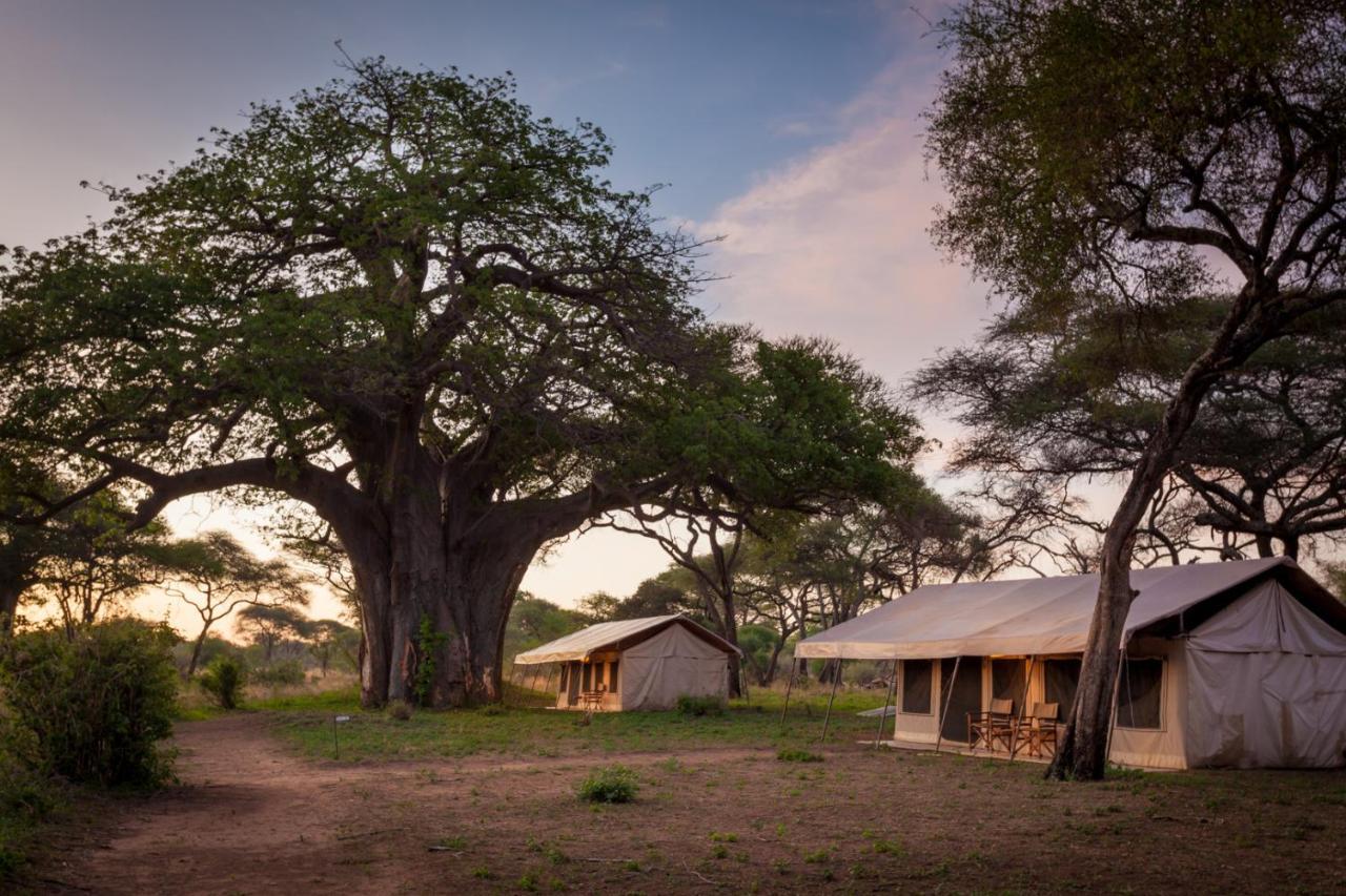 Baobab Tented Camp Kwa Kuchinia エクステリア 写真