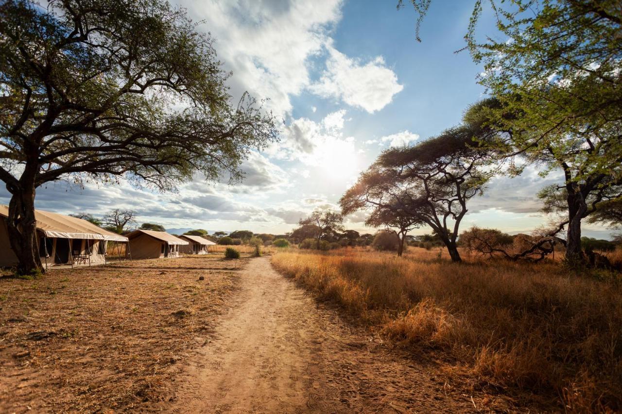 Baobab Tented Camp Kwa Kuchinia エクステリア 写真