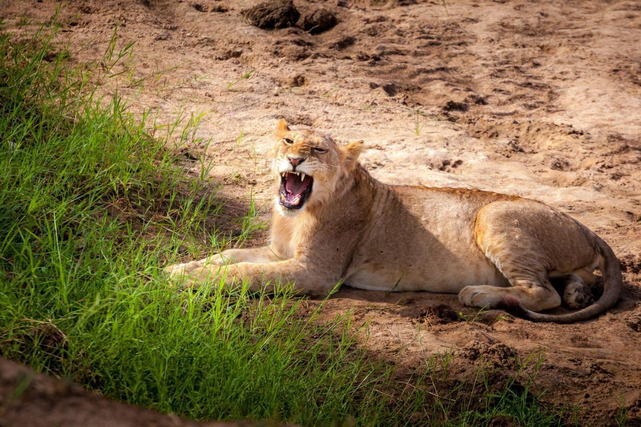 Baobab Tented Camp Kwa Kuchinia エクステリア 写真