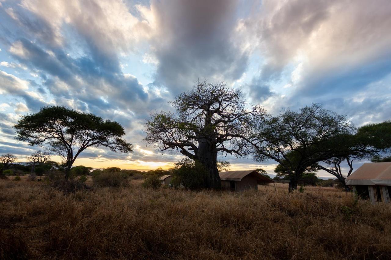 Baobab Tented Camp Kwa Kuchinia エクステリア 写真